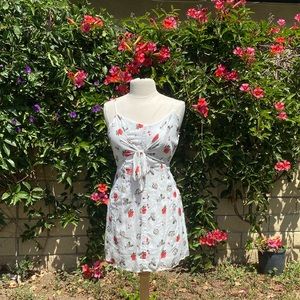 Pacsun White floral Dress